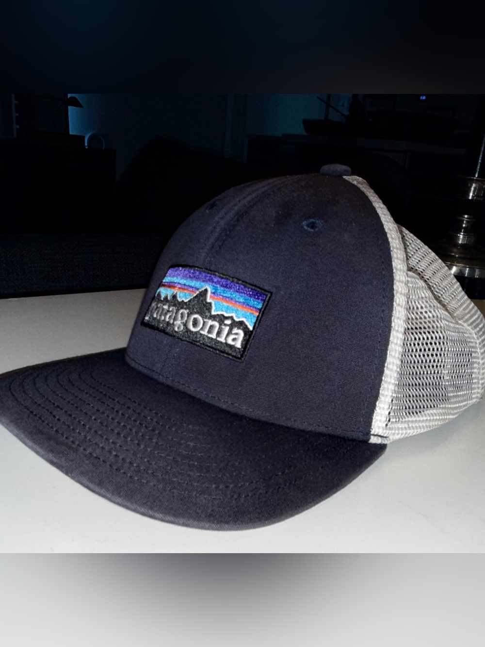 Patagonia Navy Blue Trucker Snap Back Hat